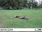 PJ_IMG_4686.jpg