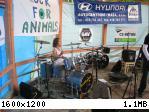 PJ_IMG_4718.jpg
