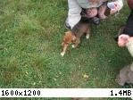 PJ_0098.JPG