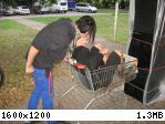 PJ_0195.JPG
